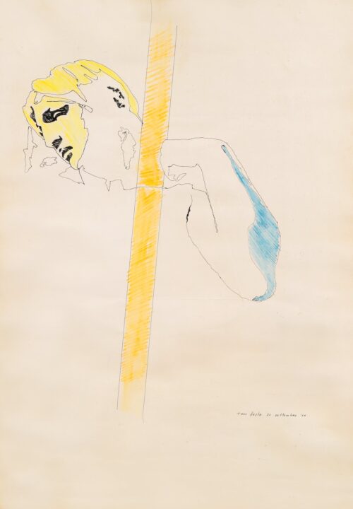 1966 26 settembre<br>penna a inchiostro e pastelli su carta<br>cm 100x70